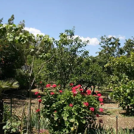Konukevi Casa Campagna